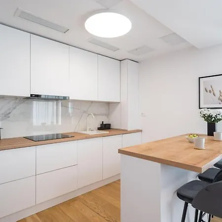 Luxurious New Penthouse + Parking