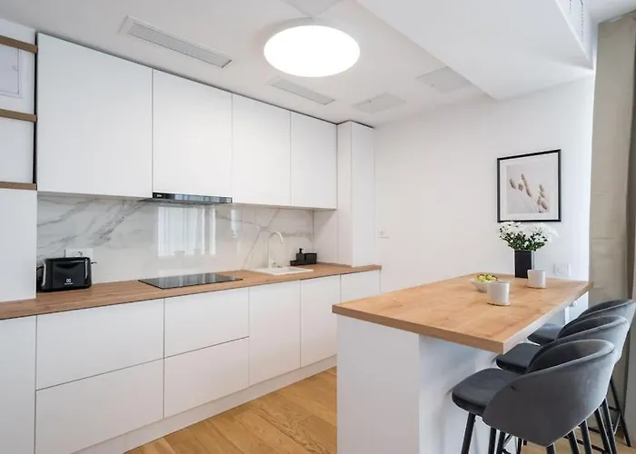 Luxurious New Penthouse + Parking